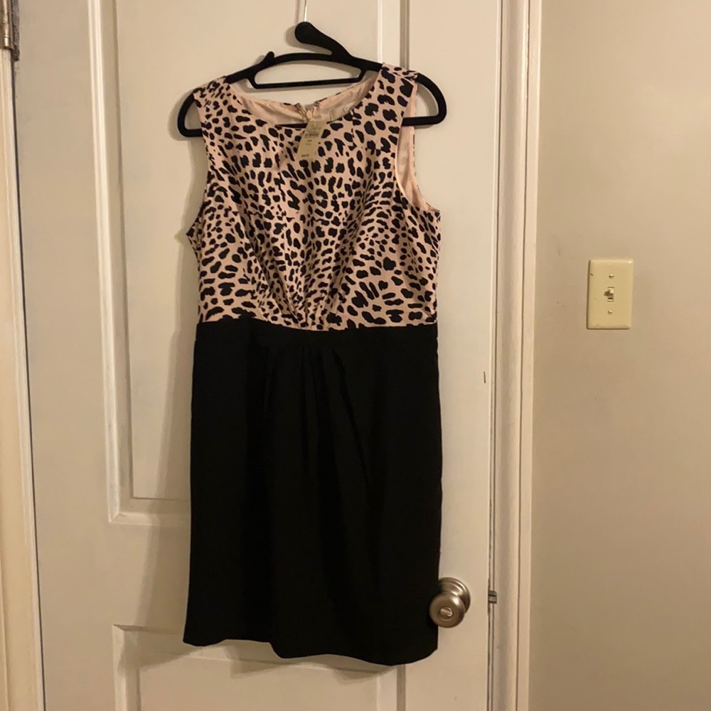 Ann Taylor Loft Dress